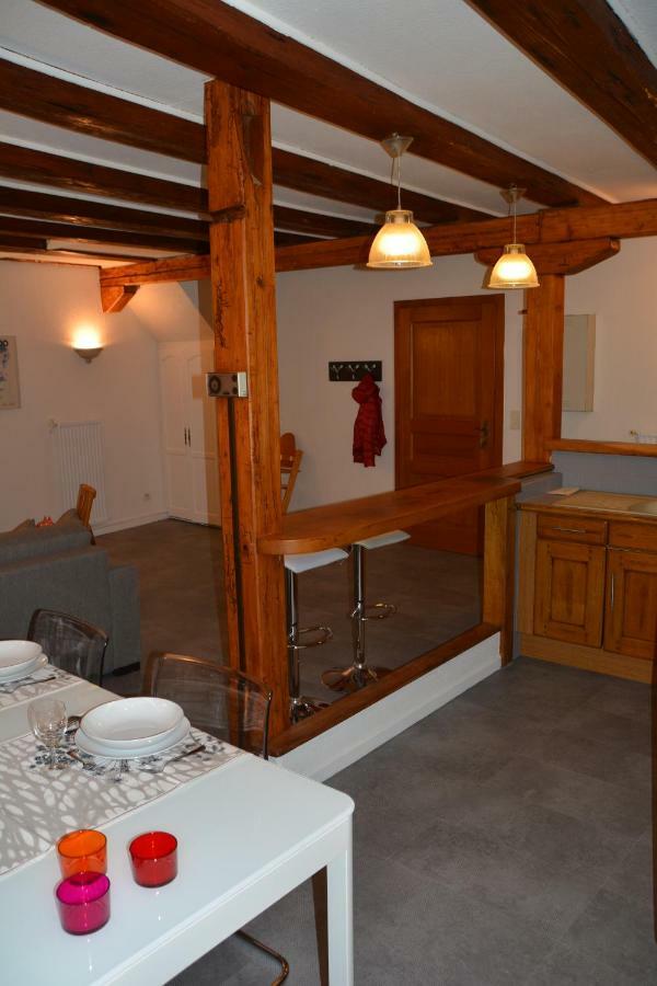 Le Cerf Appartement Colmar Buitenkant foto