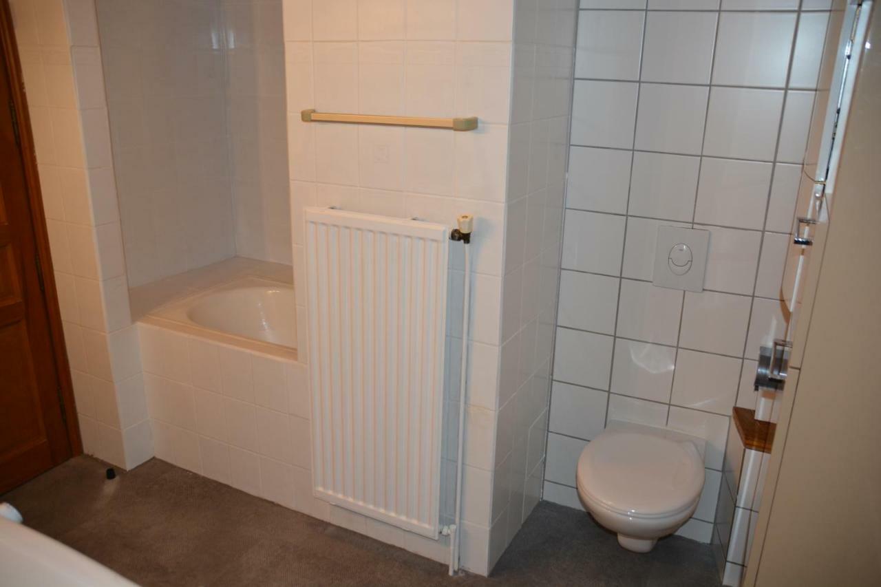 Le Cerf Appartement Colmar Buitenkant foto